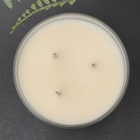 BBW Dressed In White Bath & Body Works 3 Wick Candle - Picture 7 of 10